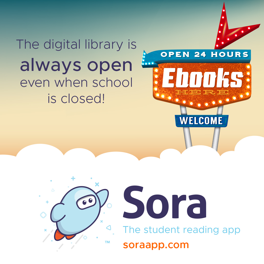 Sora Image