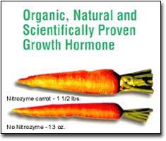 Carrots Carrots
