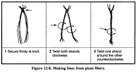 cordage 