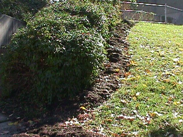 mulch 