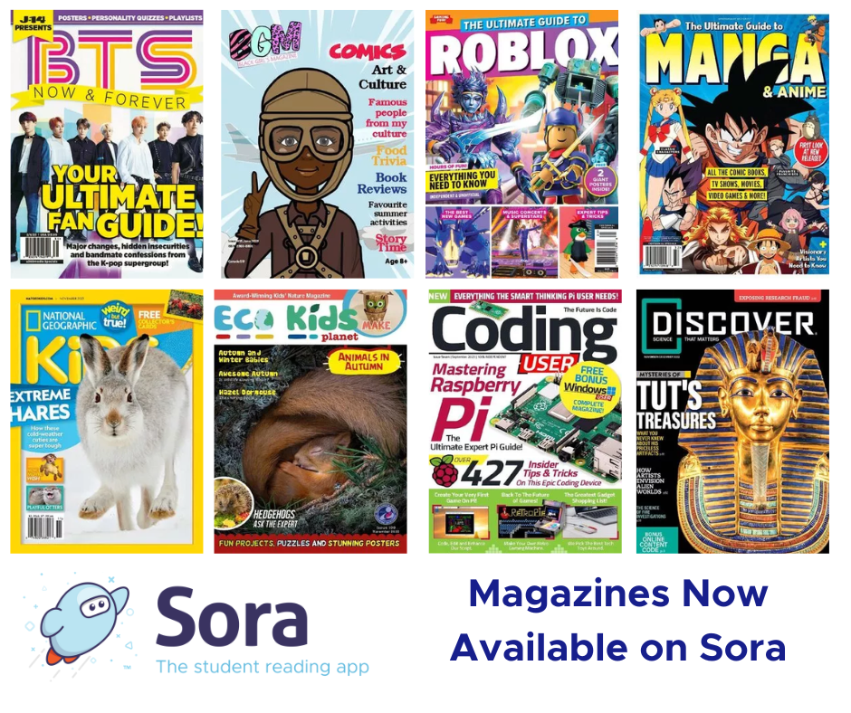 Sora Magazine