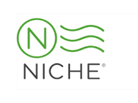 Niche logo 