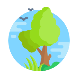 Sustainable Outdoor Environment